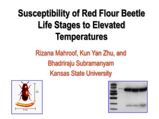 Susceptibility of Red Flour Beetle Life Stages to Elevated Temperatures