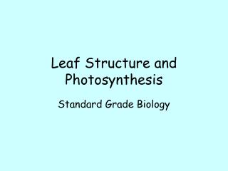 Leaf Structure and Photosynthesis