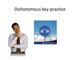 Dichotomous key practice