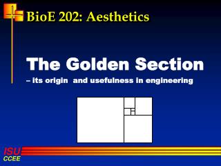 BioE 202: Aesthetics