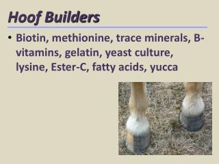 Hoof Builders