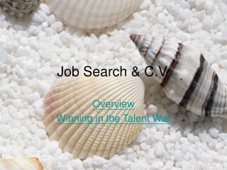 Job Search &amp; C.V.