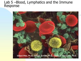 Lab 5 –Blood , Lymphatics and the Immune Response