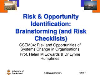 Risk & Opportunity Identification: Brainstorming (and Risk Checklists)