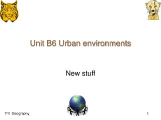 Unit B6 Urban environments