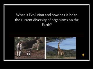 What is Evolution and how has it led to the current diversity of organisms on the Earth?