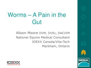 Worms – A Pain in the Gut