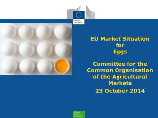 EU Imports of Eggs: Trade Figures (Comext – tonnes egg equiv.) not incl. Hatching eggs