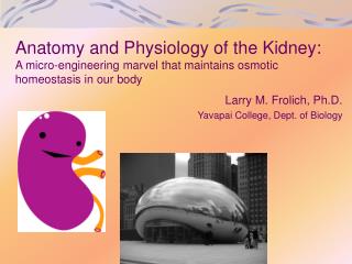 Larry M. Frolich, Ph.D. Yavapai College, Dept. of Biology