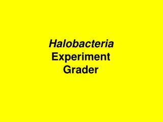 Halobacteria Experiment Grader