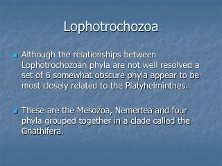 Lophotrochozoa