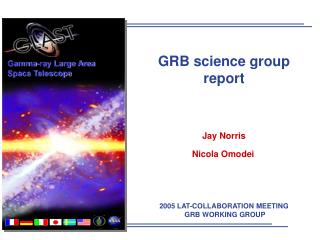 GRB science group report