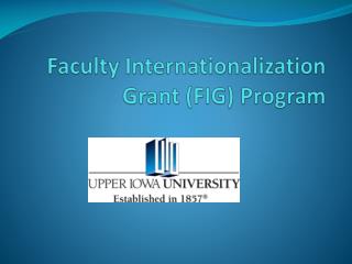 Faculty Internationalization Grant (FIG) Program