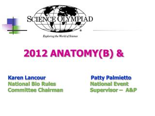 2012 ANATOMY(B) &amp;