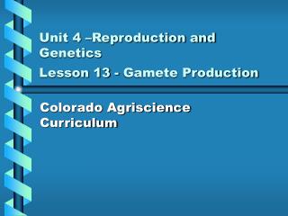 Unit 4 –Reproduction and Genetics Lesson 13 - Gamete Production