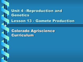 Unit 4 –Reproduction and Genetics Lesson 13 - Gamete Production