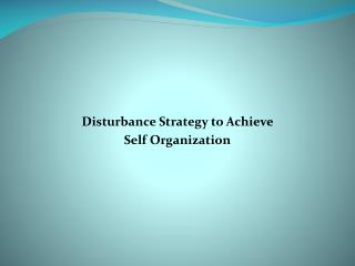 Disturbance Strategy to Achieve Self Organization