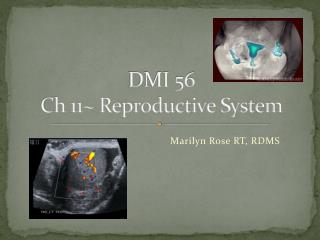 DMI 56 Ch 11~ Reproductive System