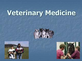 Veterinary Medicine