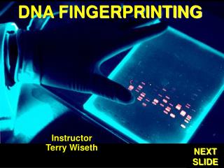 DNA FINGERPRINTING