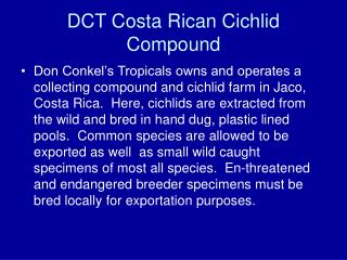 DCT Costa Rican Cichlid Compound