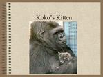 Koko s Kitten