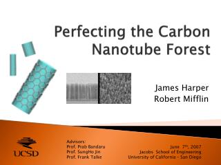 Perfecting the Carbon Nanotube Forest