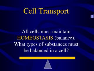 Cell Transport