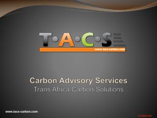 Carbon Advisory Services Trans Africa Carbon Solutions