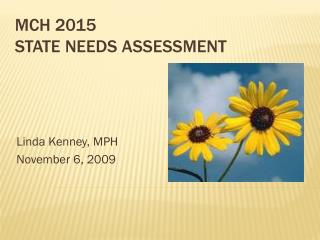 MCH 2015 State Needs Assessment