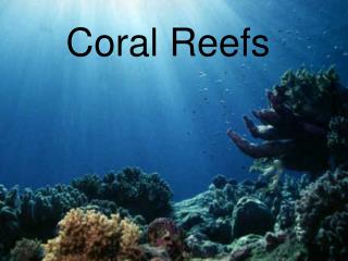 Coral Reefs