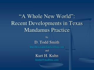 “A Whole New World”: Recent Developments in Texas Mandamus Practice