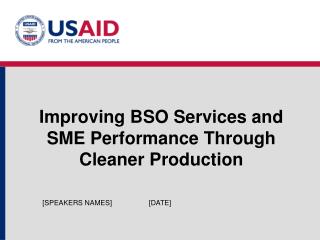 Improving BSO Services and SME Performance Through Cleaner Production