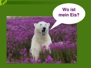 Wo ist mein Eis?