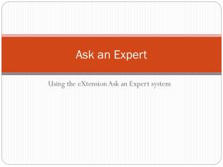 Ask an Expert