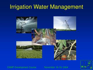 Irrigation Water Management