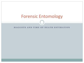 Forensic Entomology