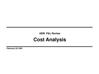 AEM P&amp;L Review Cost Analysis