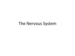 The Nervous System