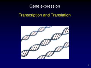 Gene expression