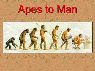 Apes to Man