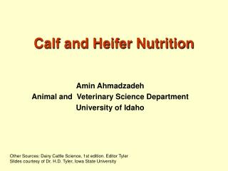 Calf and Heifer Nutrition