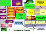 Themen der Vorlesung Physikalische Chemie im Pharmaziestudium