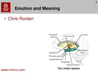 Emotion and Meaning