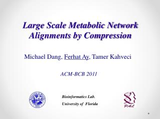 Large Scale Metabolic Network Alignments by Compression