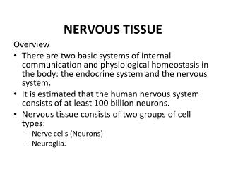 NERVOUS TISSUE