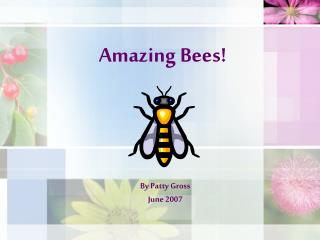 Amazing Bees!