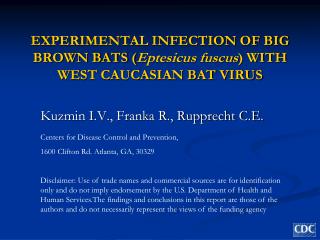 EXPERIMENTAL INFECTION OF BIG BROWN BATS ( Eptesicus fuscus ) WITH WEST CAUCASIAN BAT VIRUS