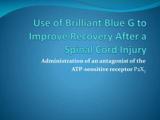 Use of Brilliant Blue G to Improve Recovery After a Spinal Cord Injury