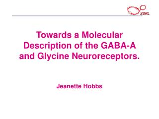 Towards a Molecular Description of the GABA-A and Glycine Neuroreceptors. Jeanette Hobbs